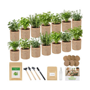 Herb Indoor Window Garden Kit