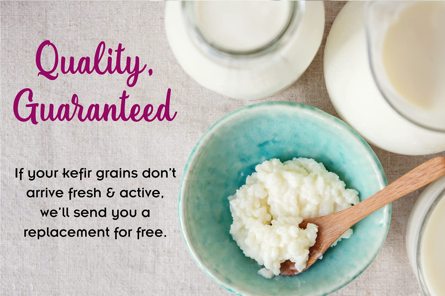 Milk Kefir Grains Probiotics