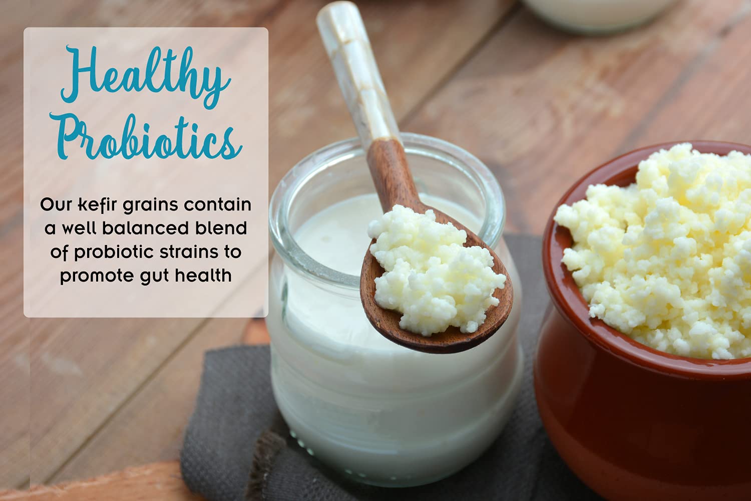 Milk Kefir Grains Probiotics