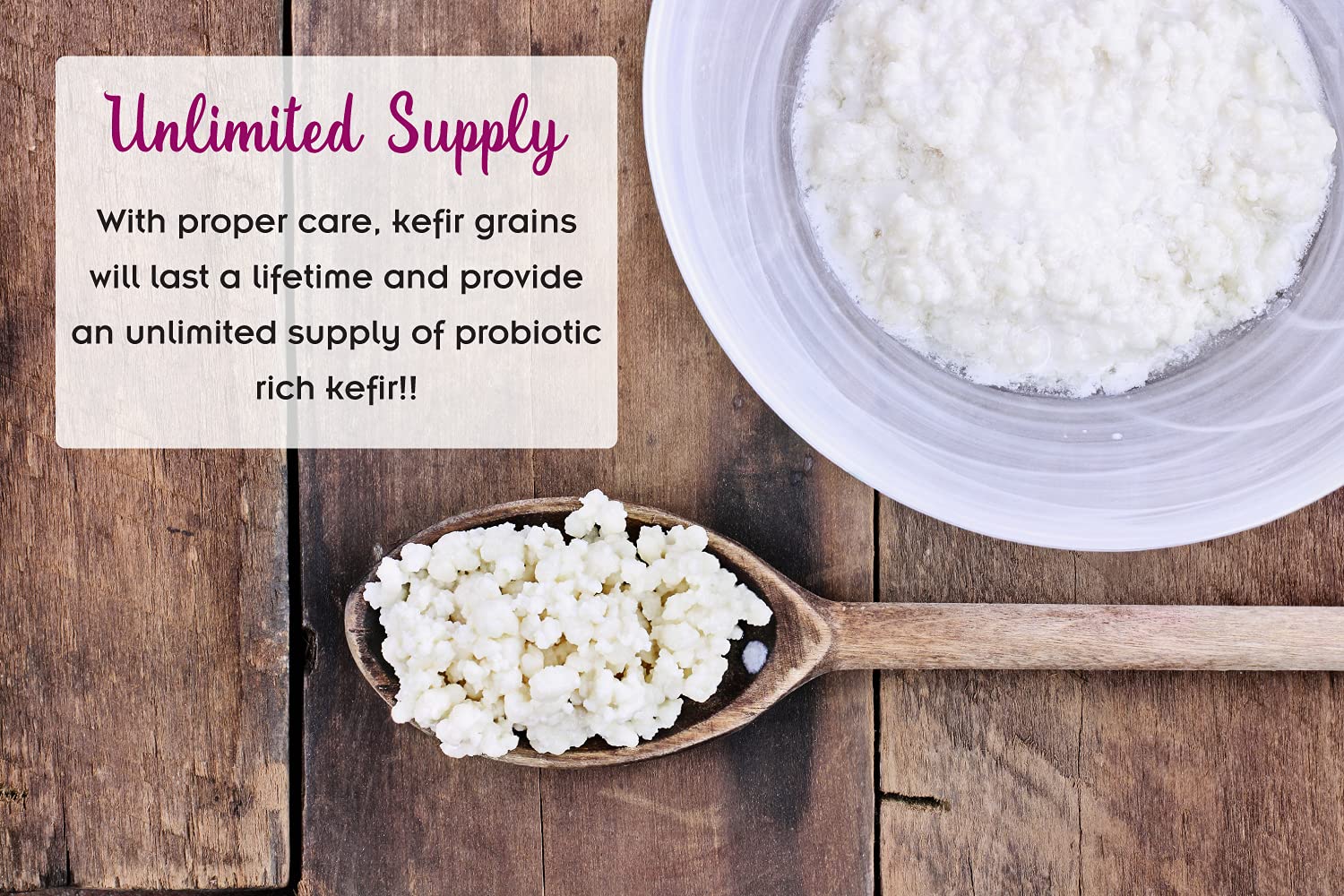 Milk Kefir Grains Probiotics